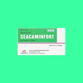 Seacaminfort