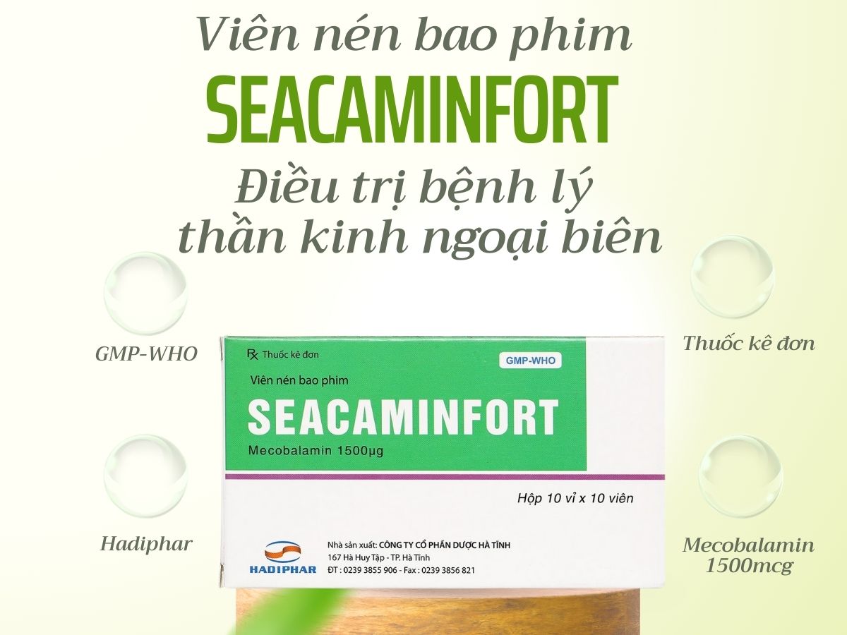 Seacaminfort 11 Seacaminfort