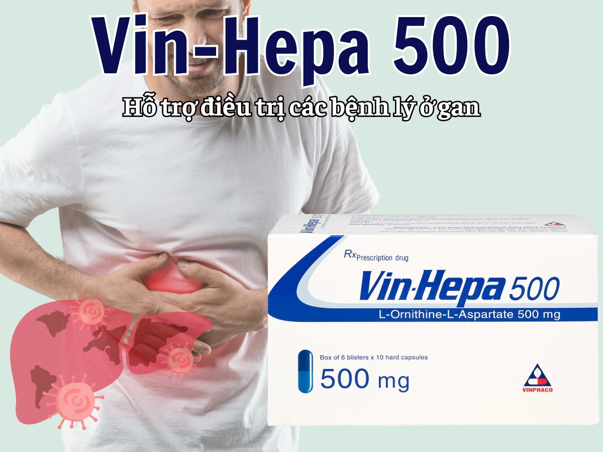 Vin-Hepa 500 12 Vin-Hepa 500 hỗ trợ điều trị các bệnh lý ở gan