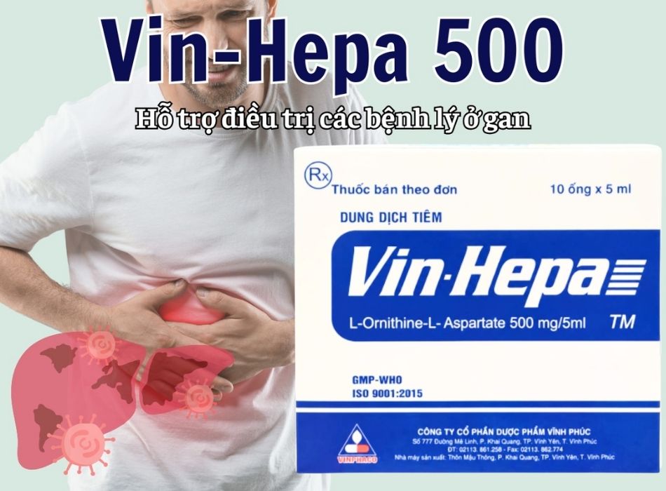 Vin-Hepa 500 12 Vin-Hepa 500 hỗ trợ điều trị các bệnh lý ở gan
