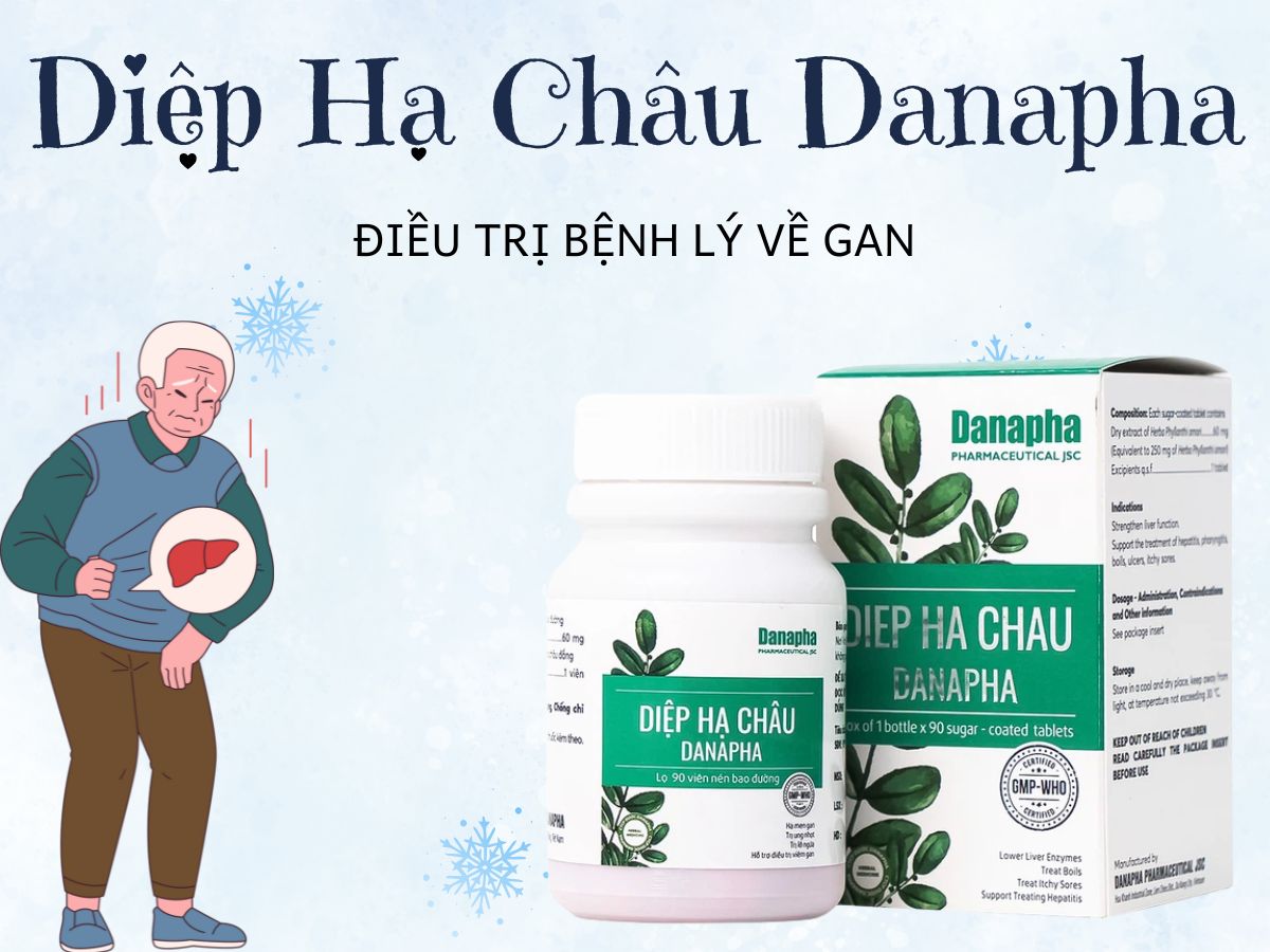 Diệp Hạ Châu Danapha 15 Diệp Hạ Châu Danapha thúc đẩy quá trình phục hồi tế bào gan
