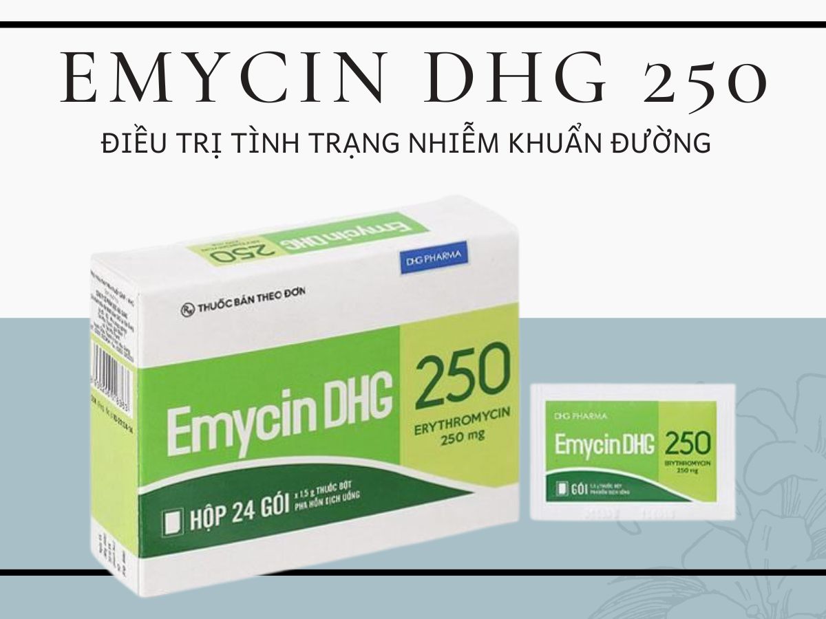 Emycin DHG 250 12 Thuốc Emycin DHG 250 điều trị nhiễm khuẩn đường tiêu hóa