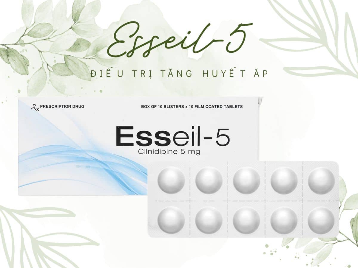 Thuốc Esseil-5 chỉ định điều trị tăng huyết áp cho người lớn