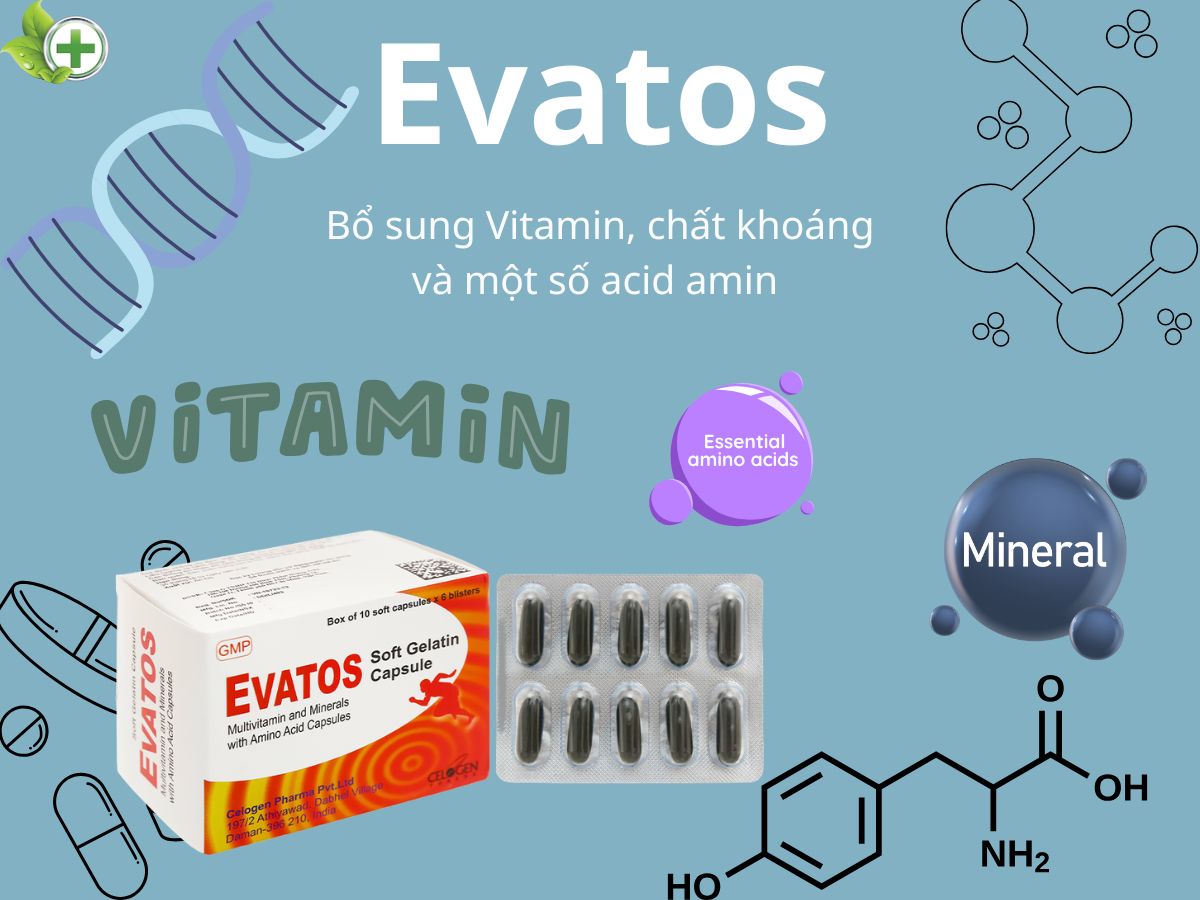 Evatos 16 Evatos