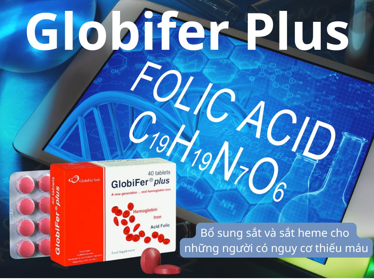 Globifer Plus 13 Globifer Plus
