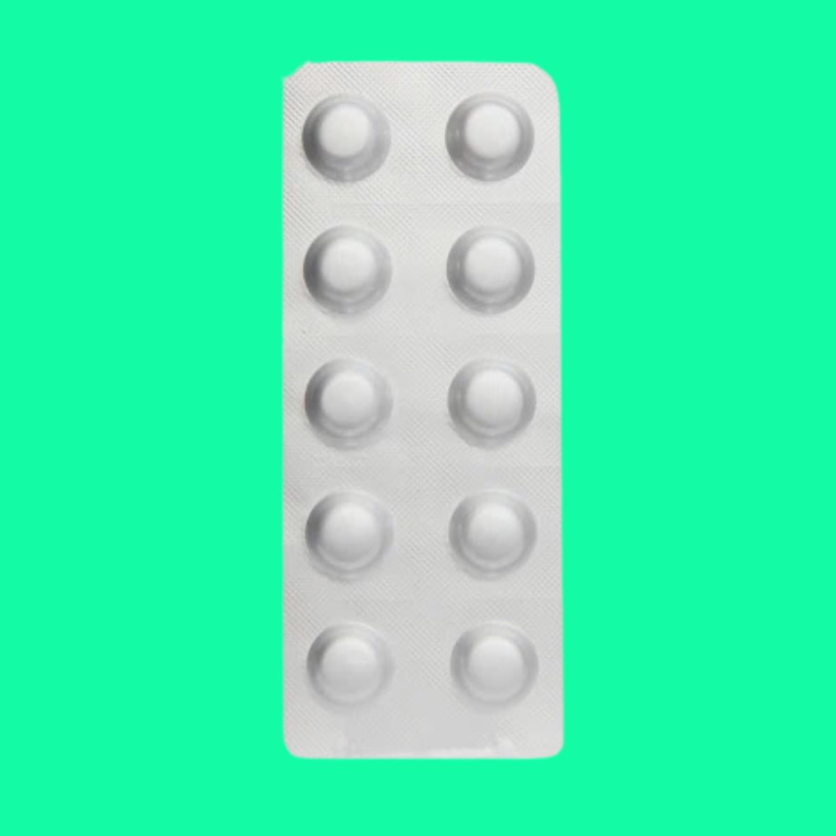 Glockner-5 (7) Glockner-5