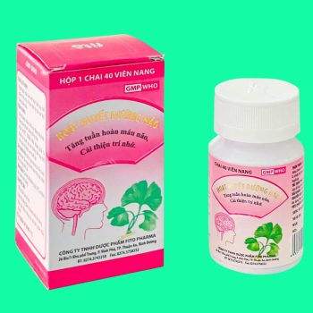 Thuốc Hoạt Huyết Dưỡng Não Fito giúp tăng cường tuần hoàn máu não