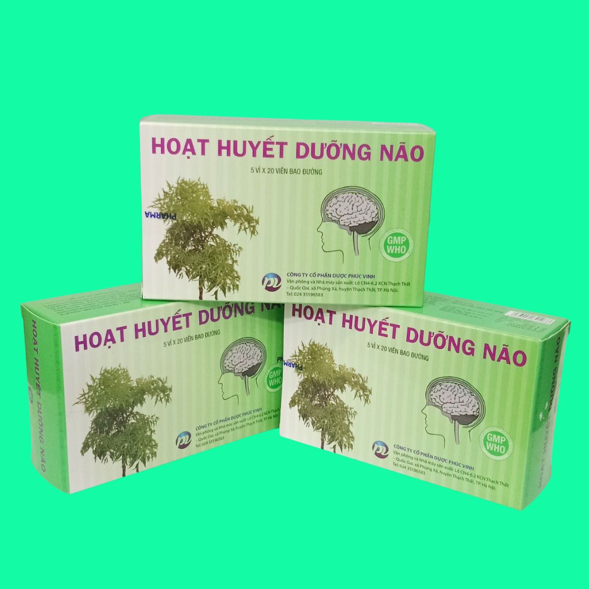 Hoạt Huyết Dưỡng Não Phúc Vinh (2) Hoạt Huyết Dưỡng Não Phúc Vinh