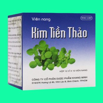 Kim Tien Thao Khang Minh 4