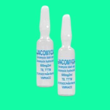 Lincomycin 600mg/2ml Vinphaco 5 Thuốc Lincomycin 600mg/2ml Vinphaco giúp điều trị nhiễm khuẩn nhạy cảm với thuốc