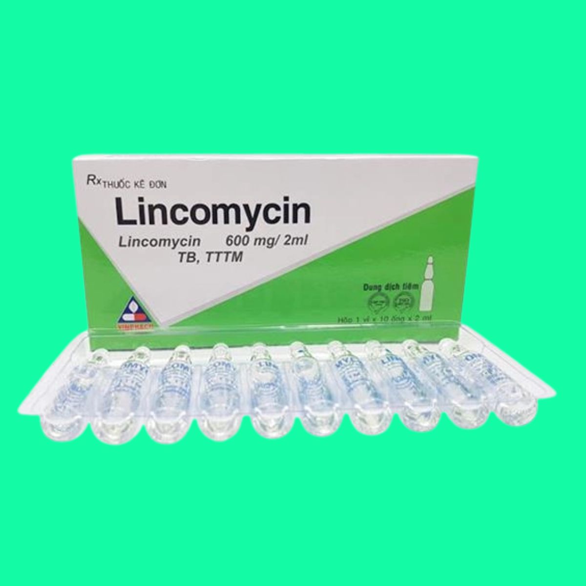 Lincomycin-600mg2ml-Vinphaco-5 Thuốc Lincomycin 600mg/2ml Vinphaco giúp điều trị nhiễm khuẩn nhạy cảm với thuốc