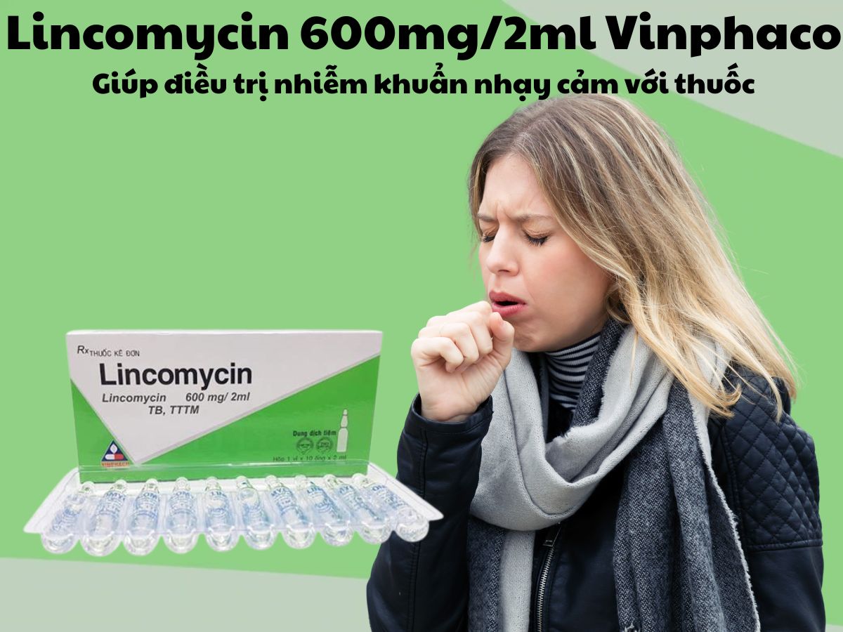 Lincomycin 600mg/2ml Vinphaco 8 Thuốc Lincomycin 600mg/2ml Vinphaco giúp điều trị nhiễm khuẩn nhạy cảm với thuốc
