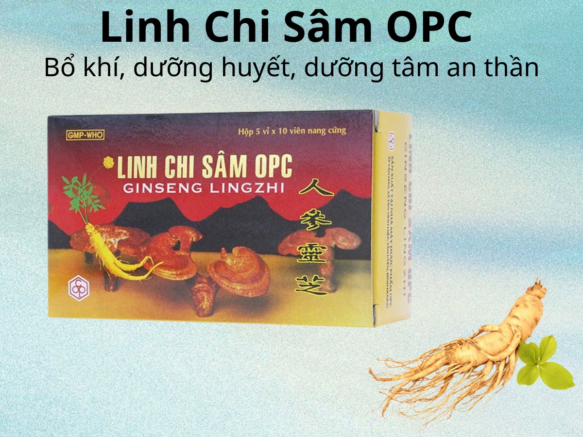 Linh Chi Sâm OPC 9 Linh Chi Sâm OPC bổ khí, dưỡng huyết, dưỡng tâm an thần