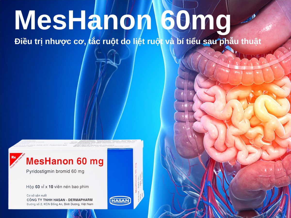 MesHanon 60mg 16 MesHanon 60mg