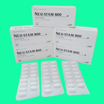 Neu-Stam 800