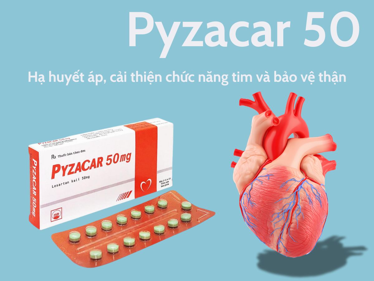 Pyzacar 50
