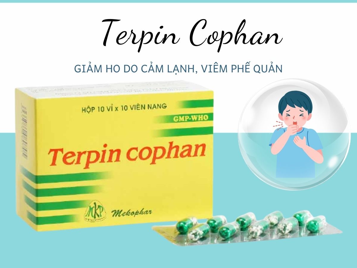 Terpin Cophan giảm triệu chứng ho do viêm phế quản, viêm họng, viêm xoang