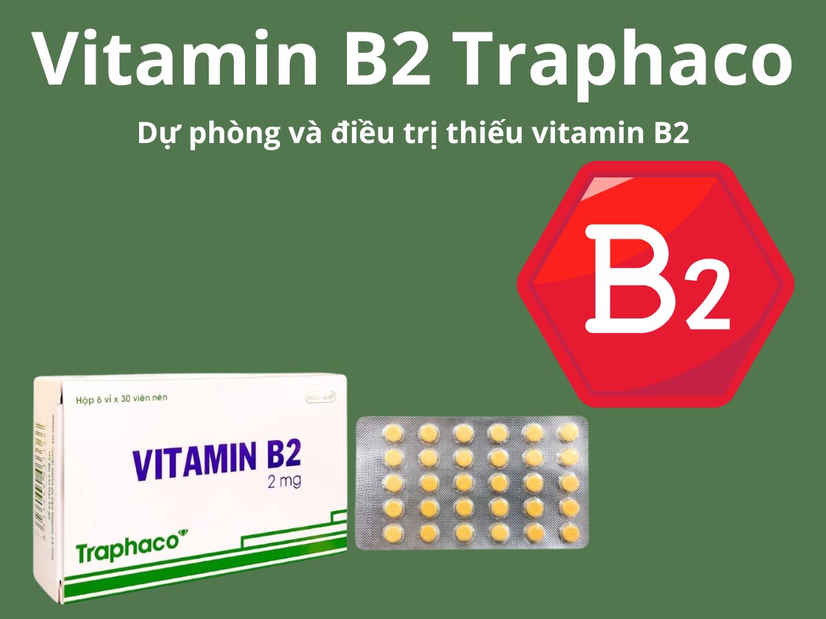 Vitamin B2 Traphaco 2mg