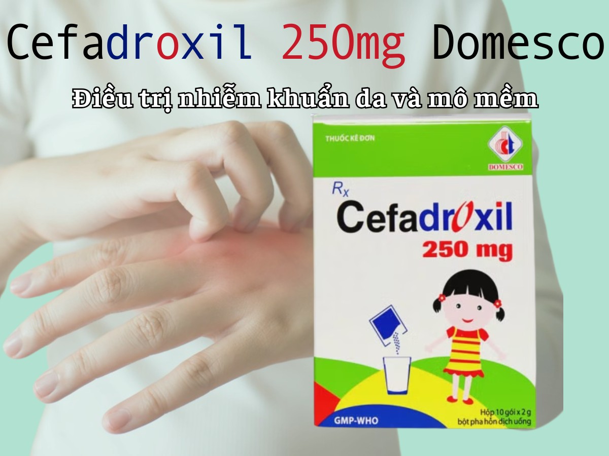 Cefadroxil 250mg Domesco 8 Cefadroxil 250mg Domesco điều trị nhiễm khuẩn da và mô mềm