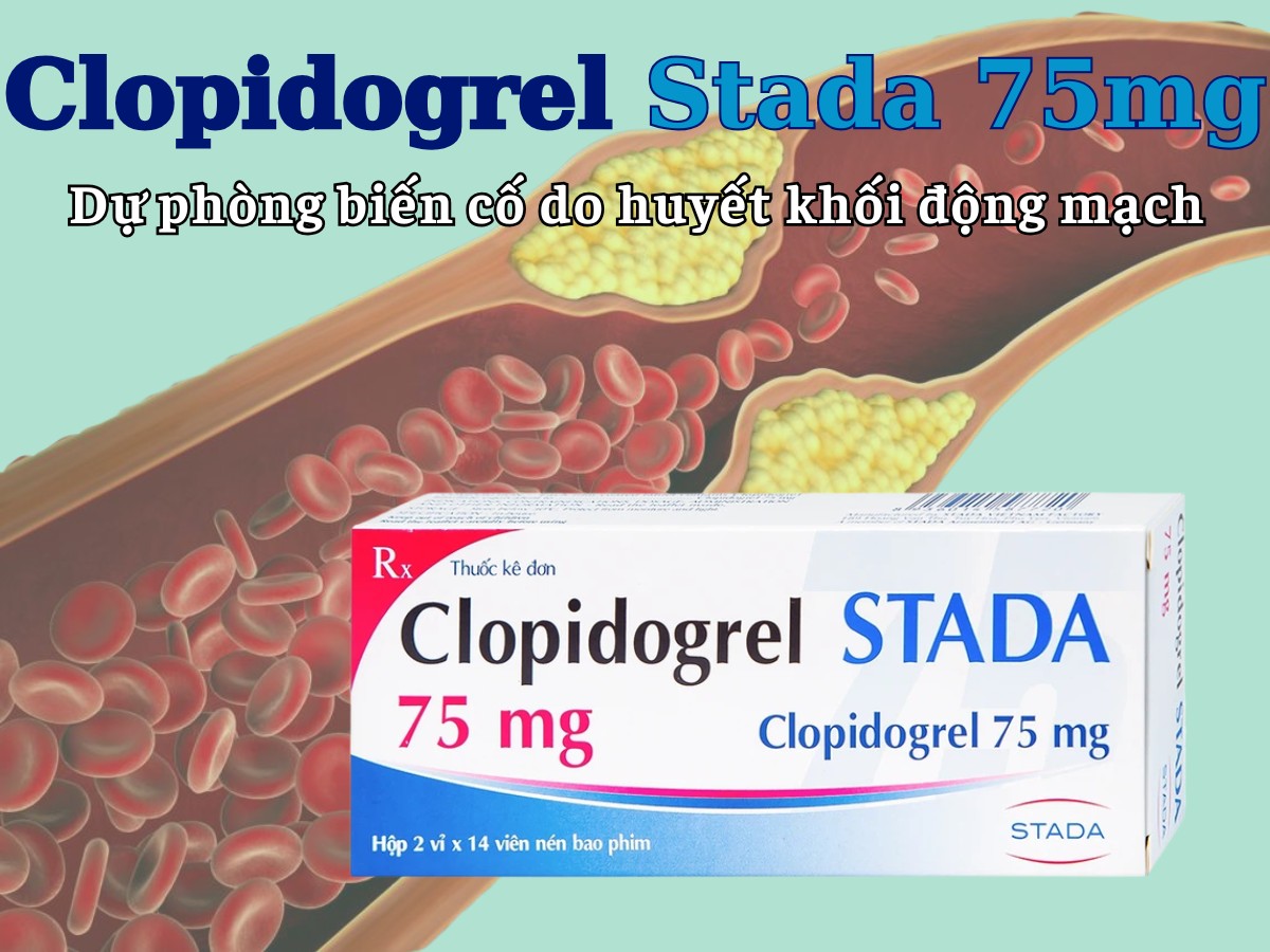 Clopidogrel Stada 75mg 10 Clopidogrel Stada 75mg dự phòng biến cố do huyết khối động mạch