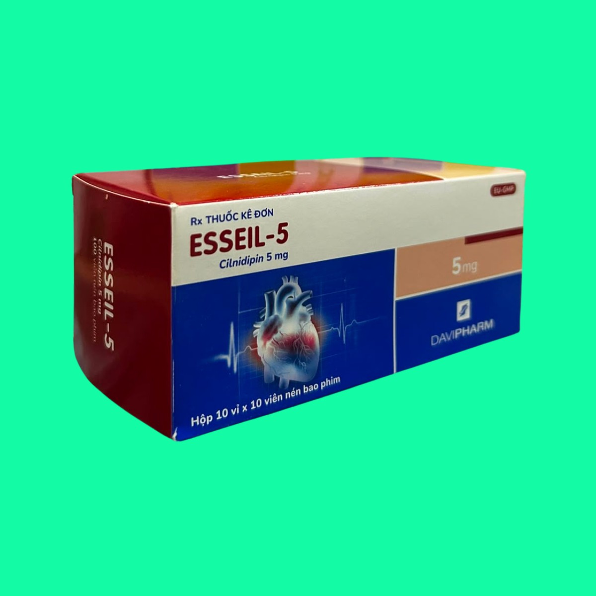 esseil-5-3 Esseil-5