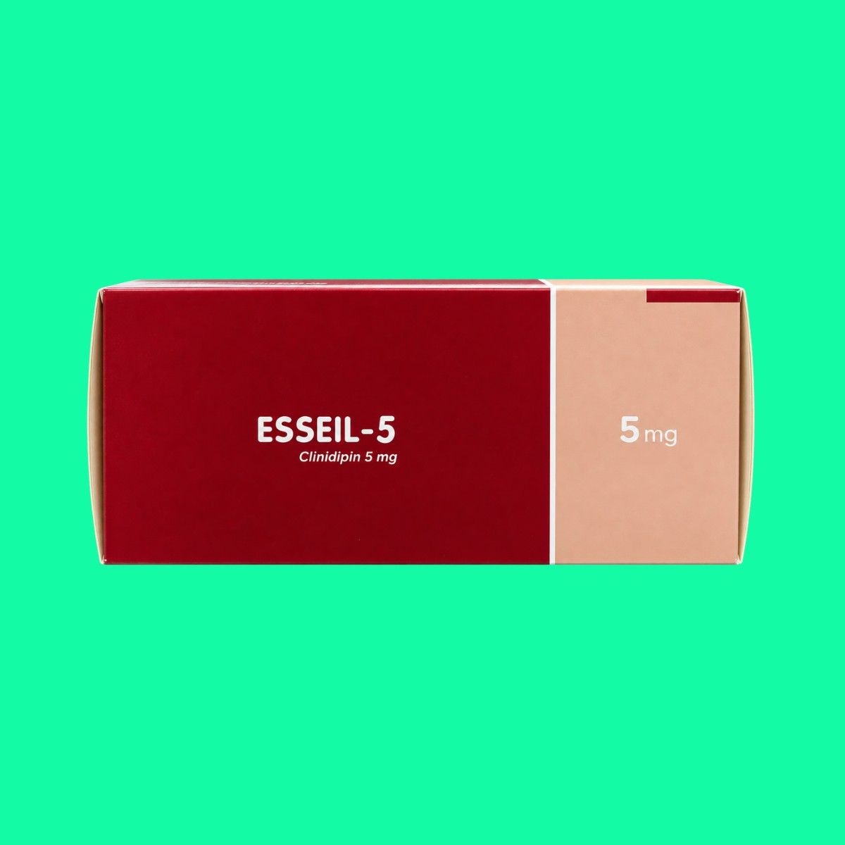 esseil-5-6 Esseil-5