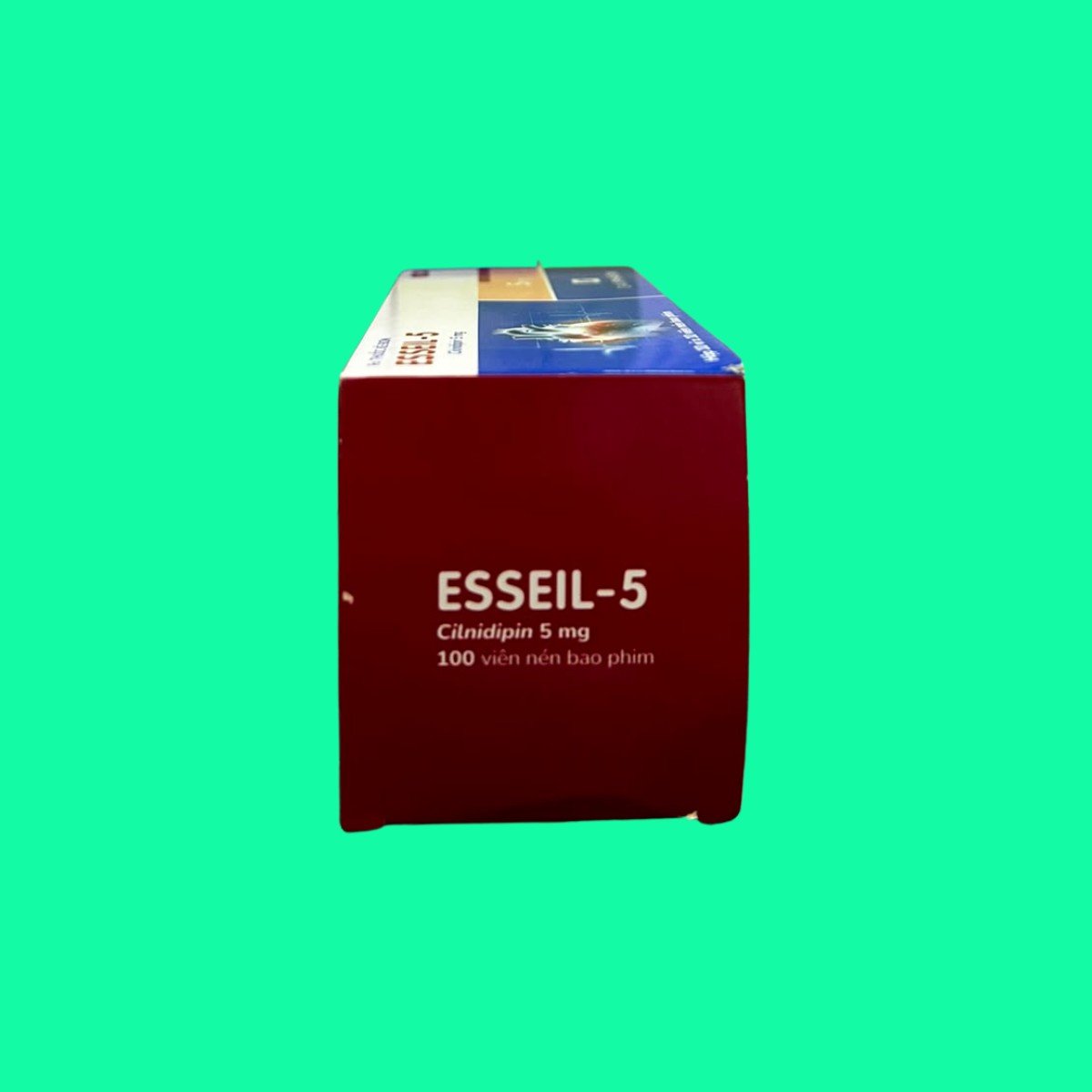 esseil-5-8 Esseil-5