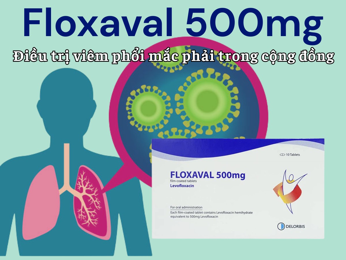 Floxaval 500mg điều trị viêm phổi mắc phải trong cộng đồng