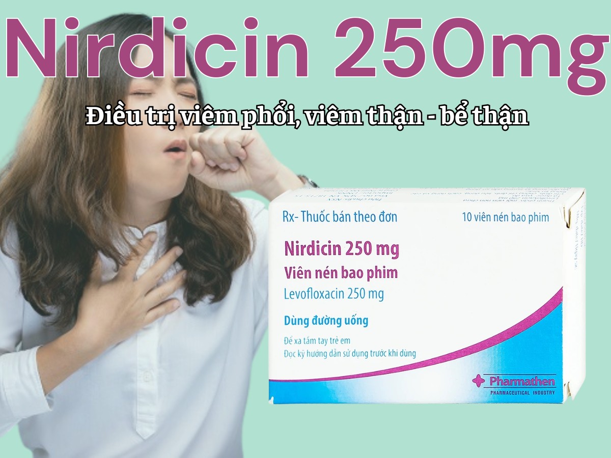 Nirdicin 250mg điều trị viêm phổi, viêm thận - bể thận, viêm tuyến tiền liệt