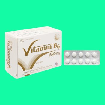 Vitamin B6 250mg Mekophar