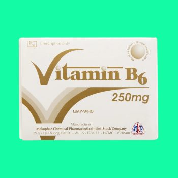 Vitamin B6 250mg Mekophar