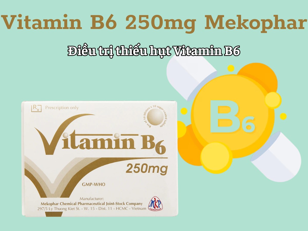 Vitamin B6 250mg Mekophar điều trị thiếu hụt Vitamin B6