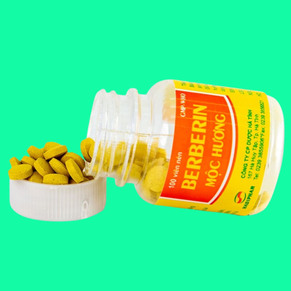 Berberin Mộc Hương (6) Berberin Mộc Hương