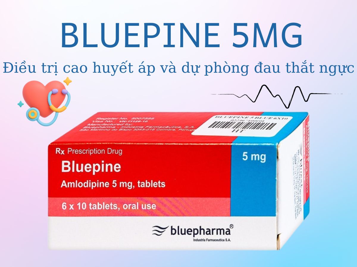 Thuốc Bluepine 5mg dự phòng đau thắt ngực ổn định và điều trị cao huyết áp