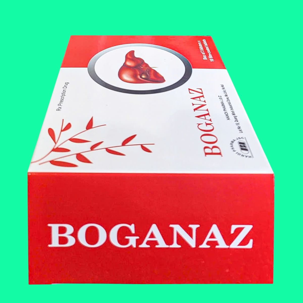 Boganaz (6) Boganaz