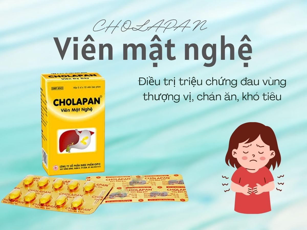 CHOLAPAN Viên mật nghệ 11 Thuốc CHOLAPAN Viên mật nghệ - Cải thiện triệu chứng đau vùng thượng vị