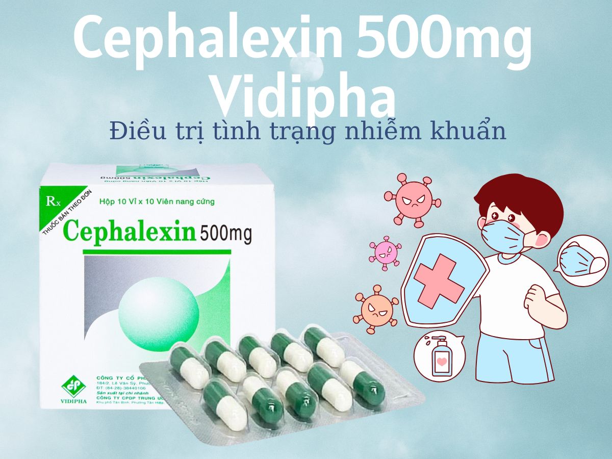 Cephalexin 500mg Vidipha 11 Thuốc Cephalexin 500mg Vidipha điều trị nhiễm khuẩn