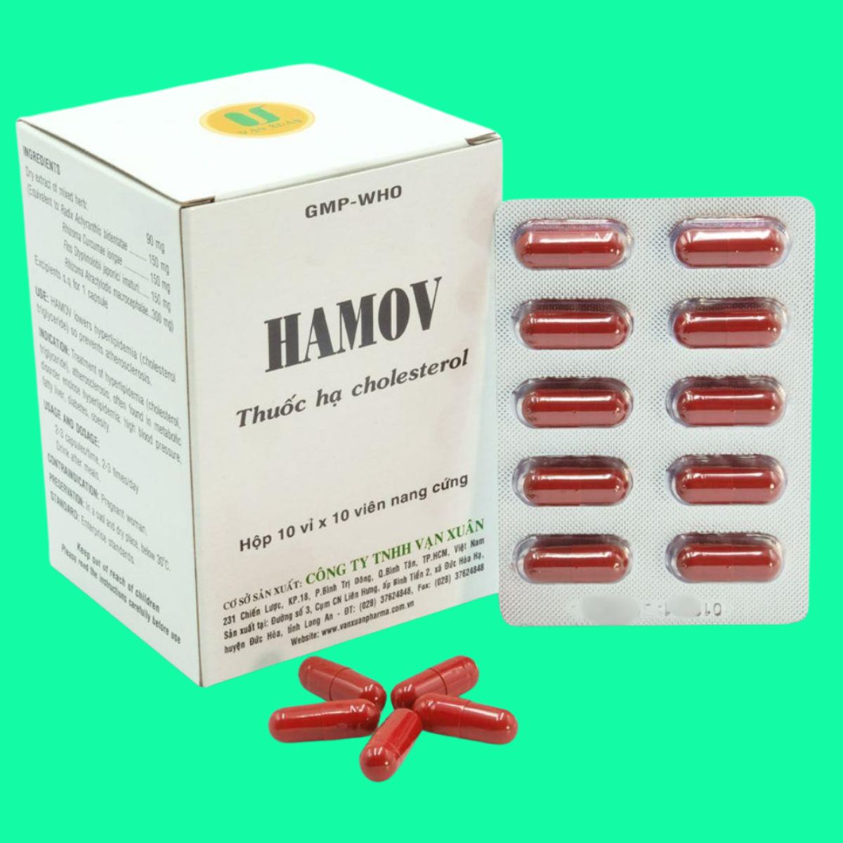 Hamov-7 Thuốc Hamov Vạn Xuân giúp hạ lipid máu, phòng ngừa xơ vữa động mạch