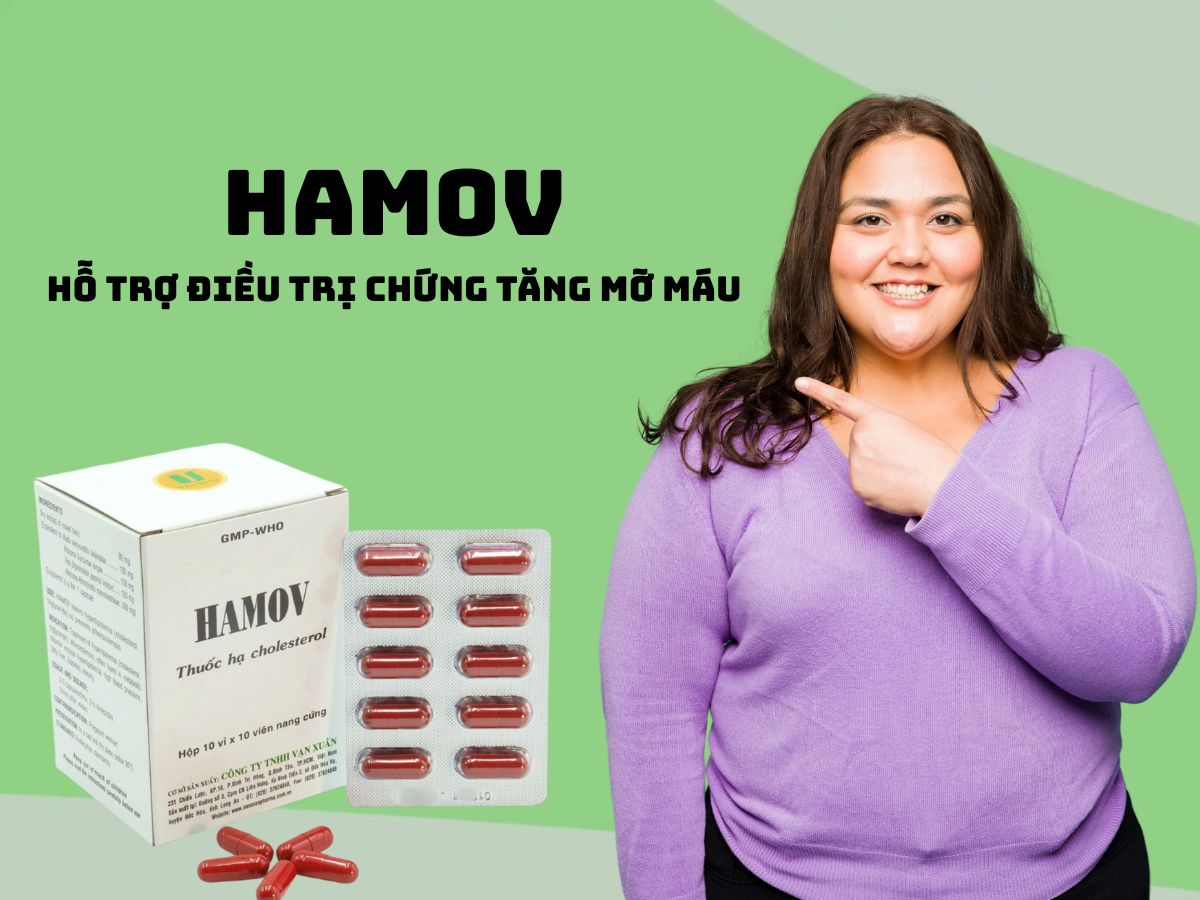 Hamov Vạn Xuân 11 Thuốc Hamov Vạn Xuân giúp hạ lipid máu, phòng ngừa xơ vữa động mạch