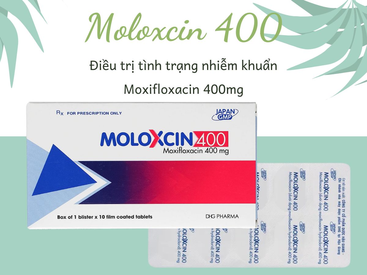 Moloxcin 400 điều trị viêm phổi cộng đồng, nhiễm khuẩn da và mô mềm, đợt cấp của viêm phế quản mạn, viêm xoang cấp tính do nhiễm khuẩn
