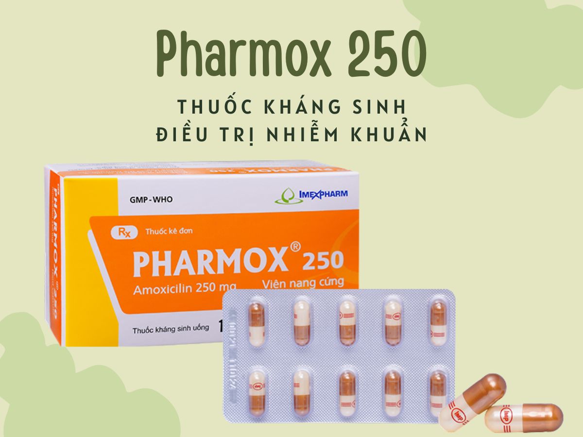 Thuốc Pharmox 250 điều trị nhiễm khuẩn