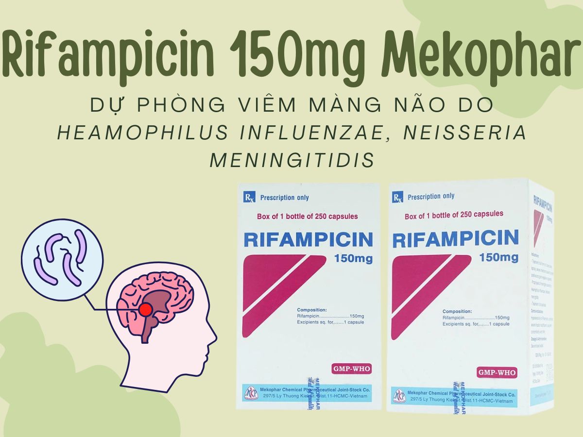 Rifampicin 150mg Mekophar 10 Thuốc Rifampicin 150mg Mekophar dự phòng viêm màng não