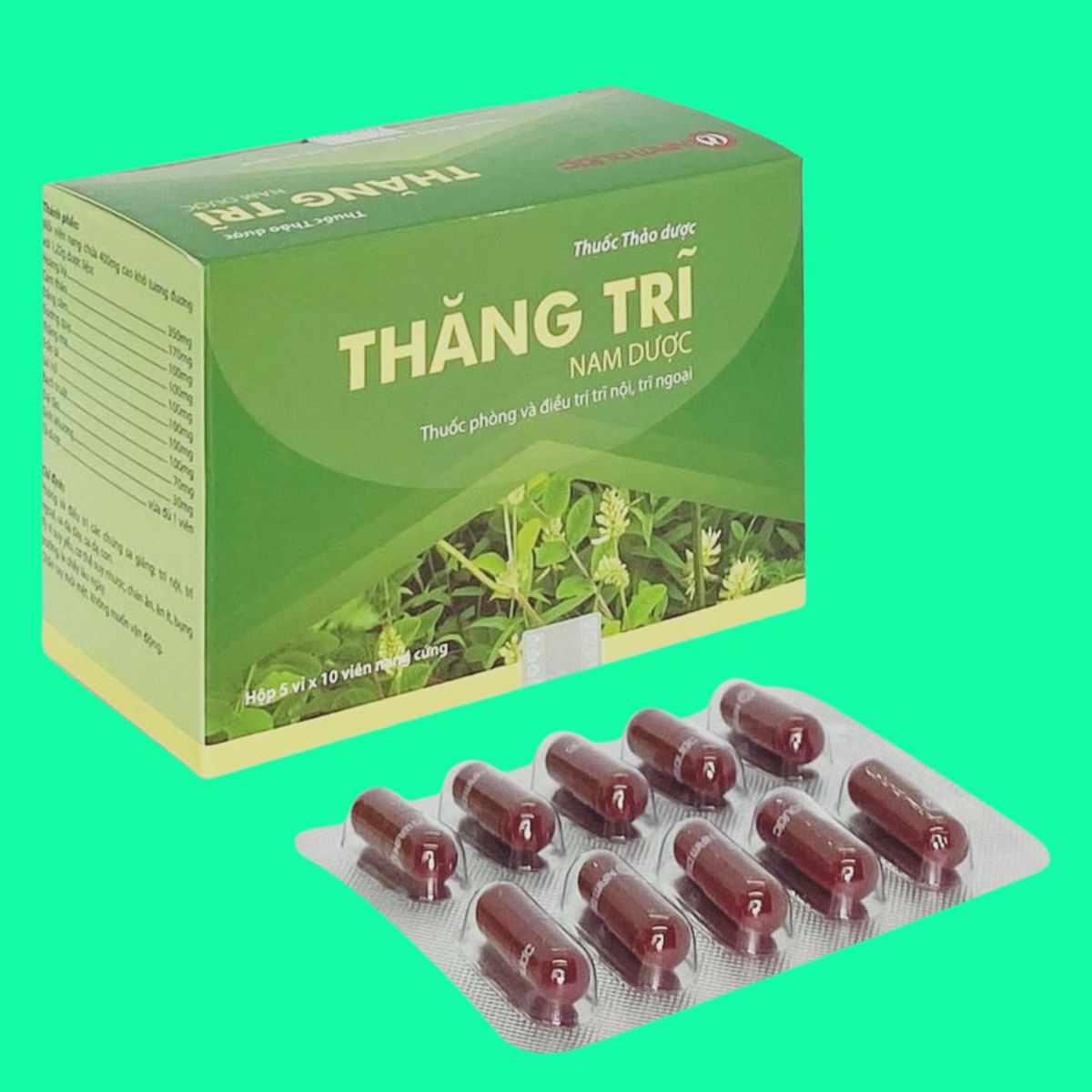 Thăng Trĩ Nam Dược Thăng Trĩ Nam Dược