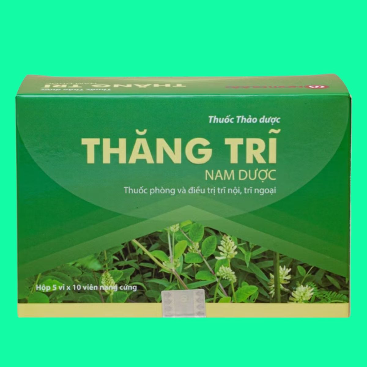 Thăng Trĩ Nam Dược (2) Thăng Trĩ Nam Dược