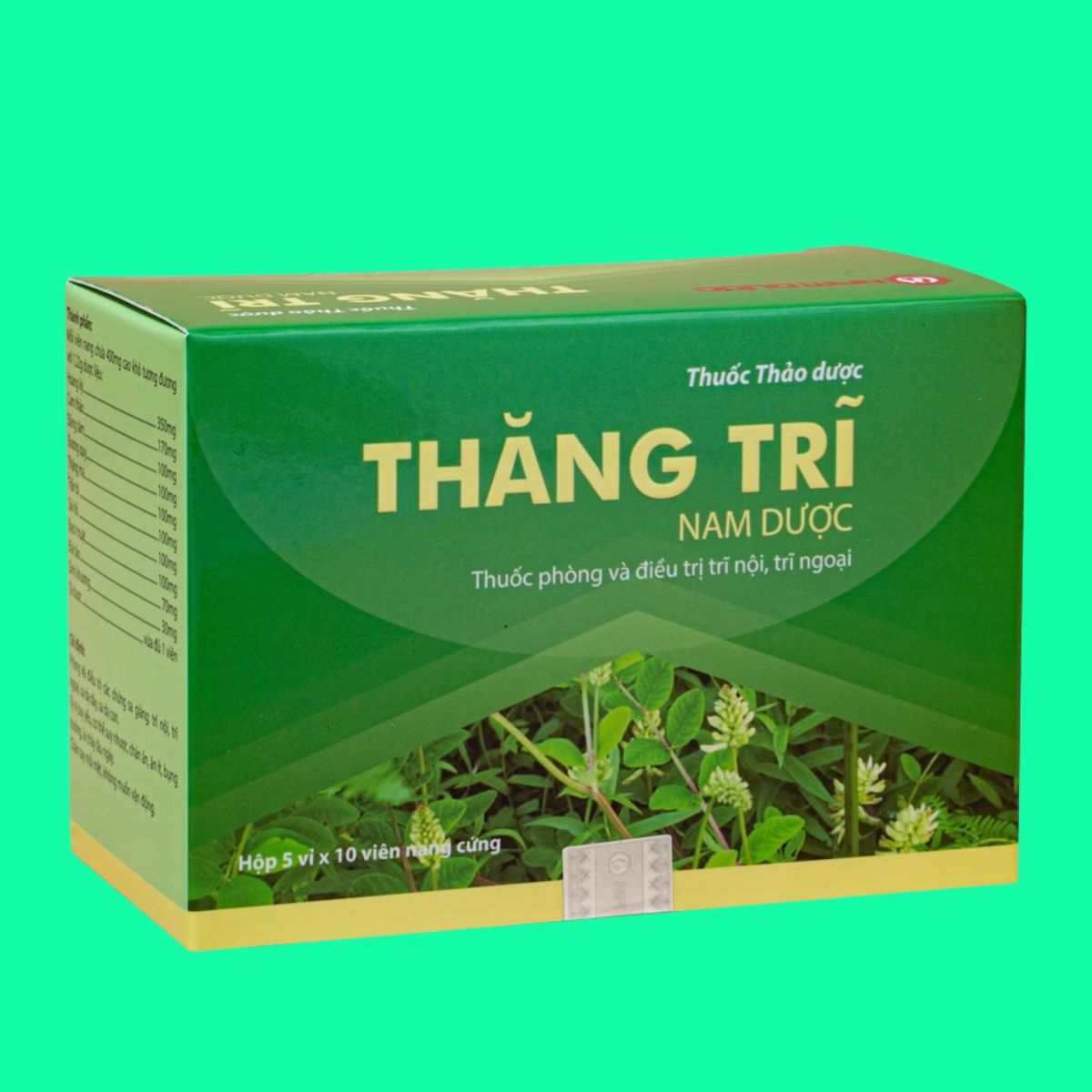 Thăng Trĩ Nam Dược (6) Thăng Trĩ Nam Dược