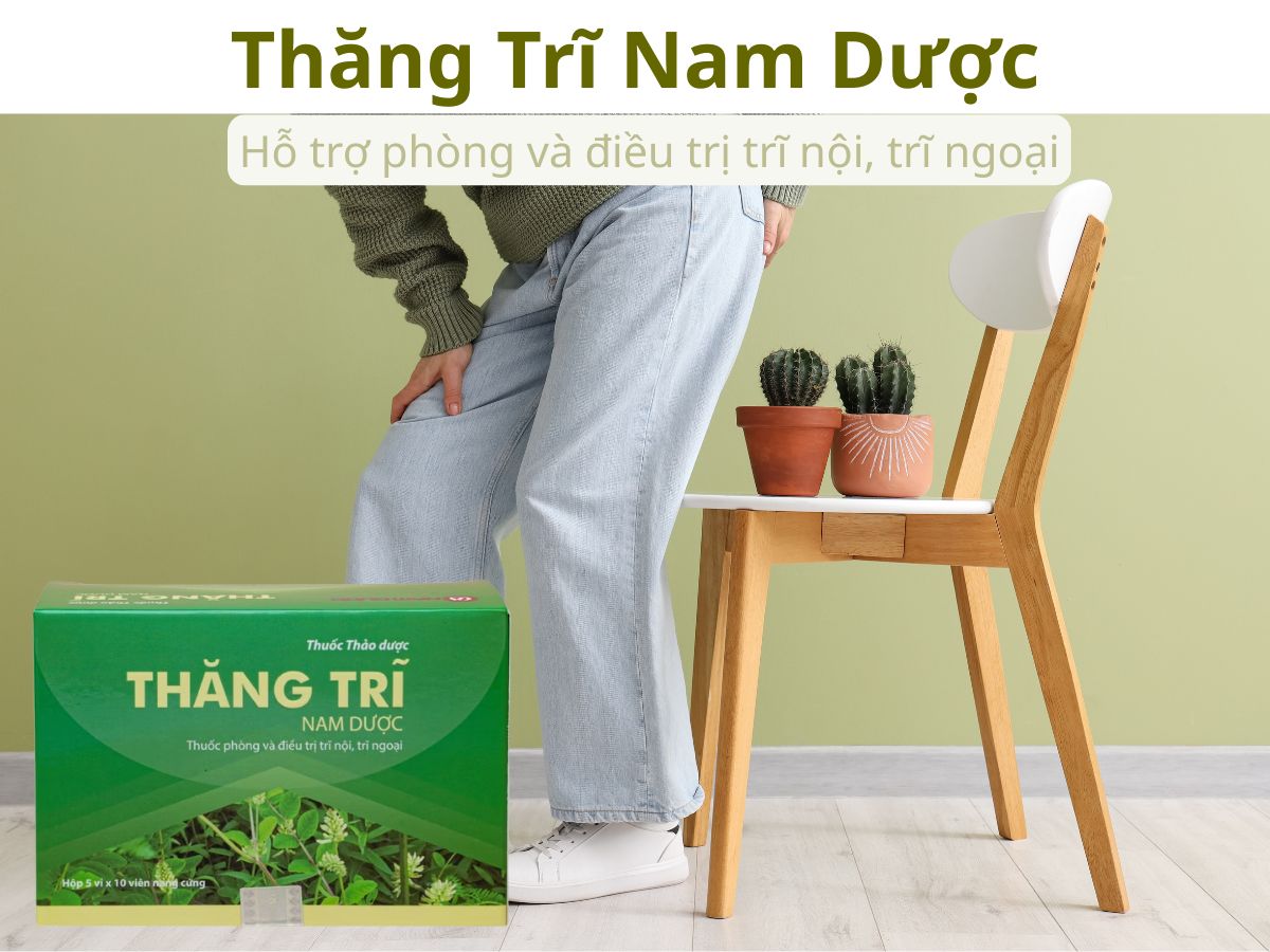 Thăng Trĩ Nam Dược 20 Thăng Trĩ Nam Dược