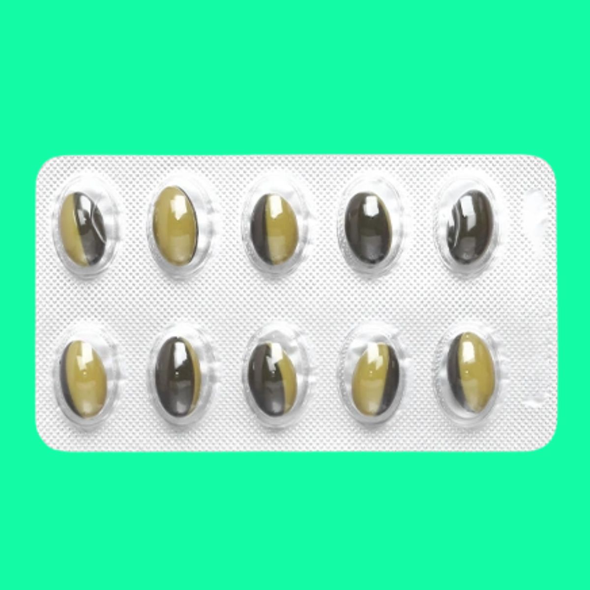 Ursimex 50 (13) Ursimex 50