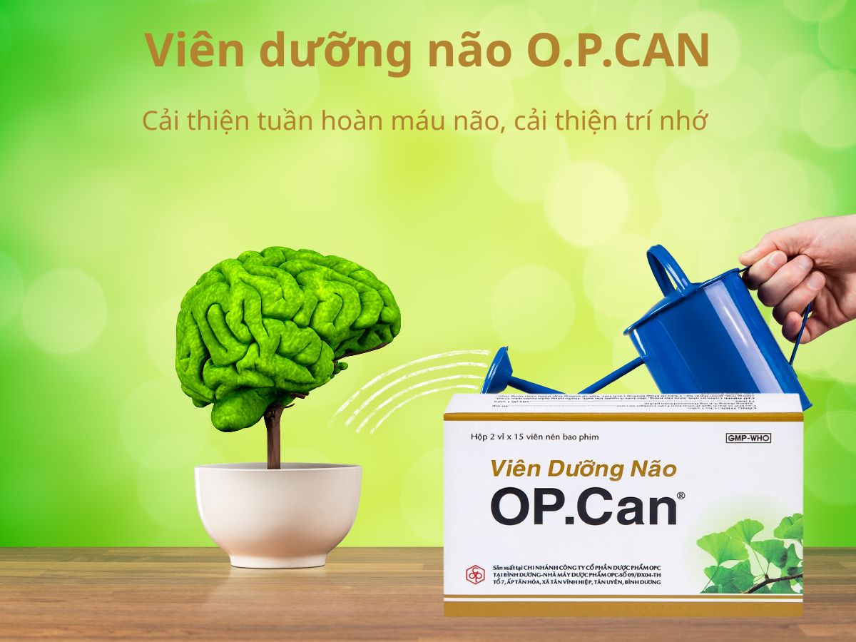 Viên dưỡng não O.P.CAN