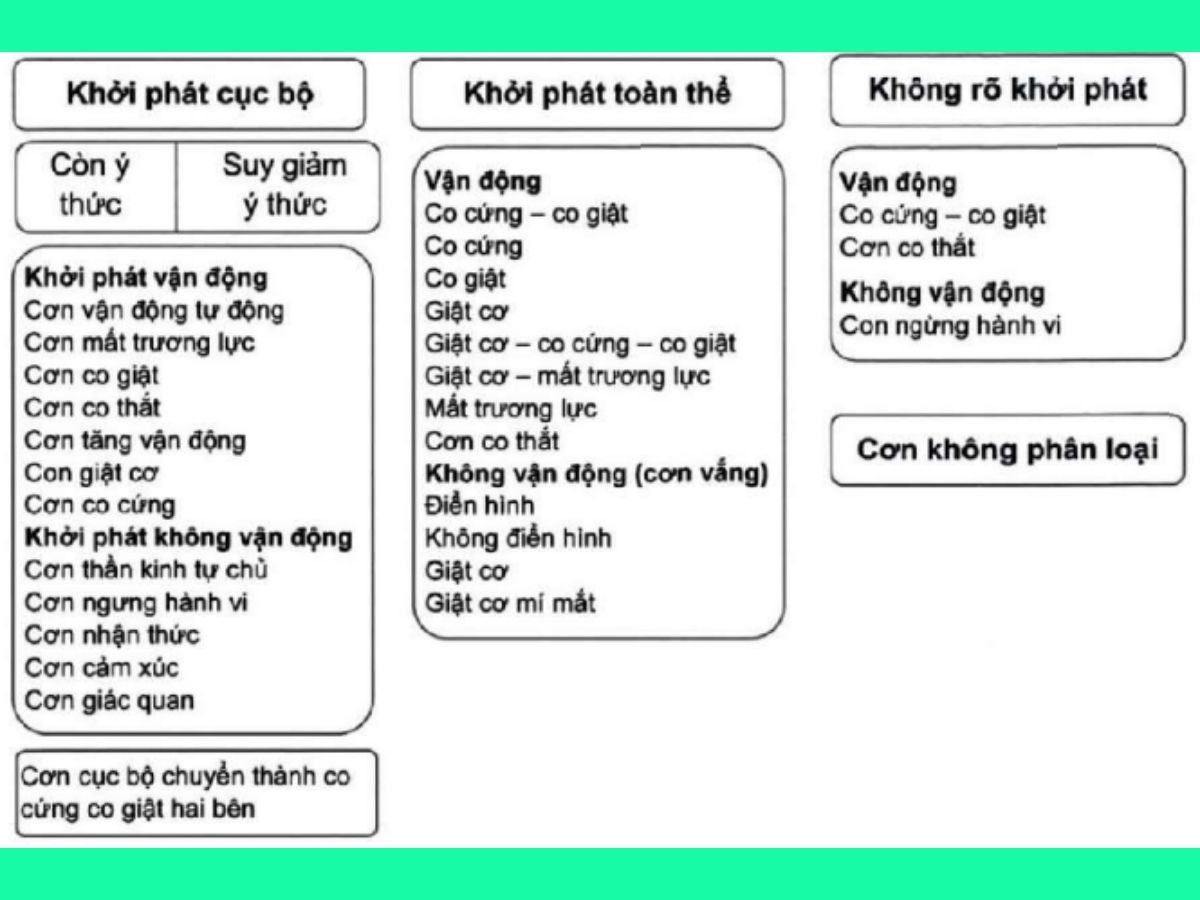 Tìm hiểu về cơn động kinh và động kinh - Định nghĩa, nguyên nhân 5 Cơn động kinh và động kinh