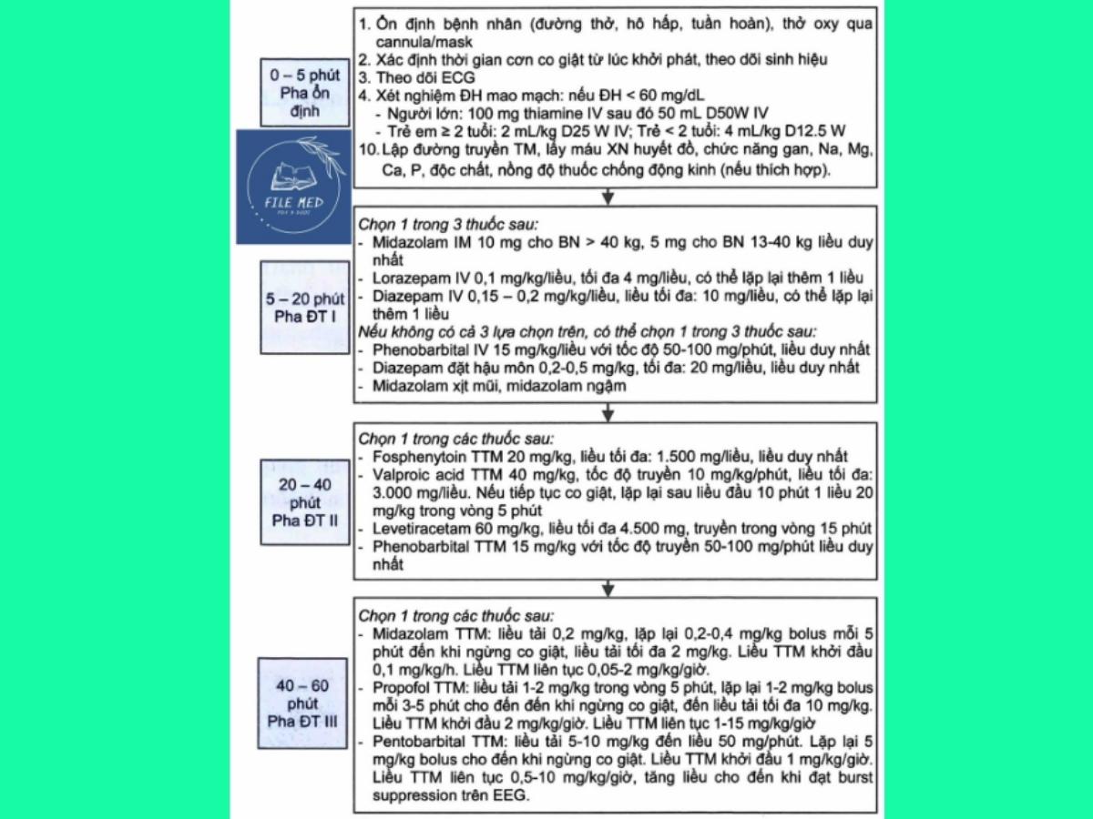 Tìm hiểu về cơn động kinh và động kinh - Định nghĩa, nguyên nhân 7 Cơn động kinh và động kinh